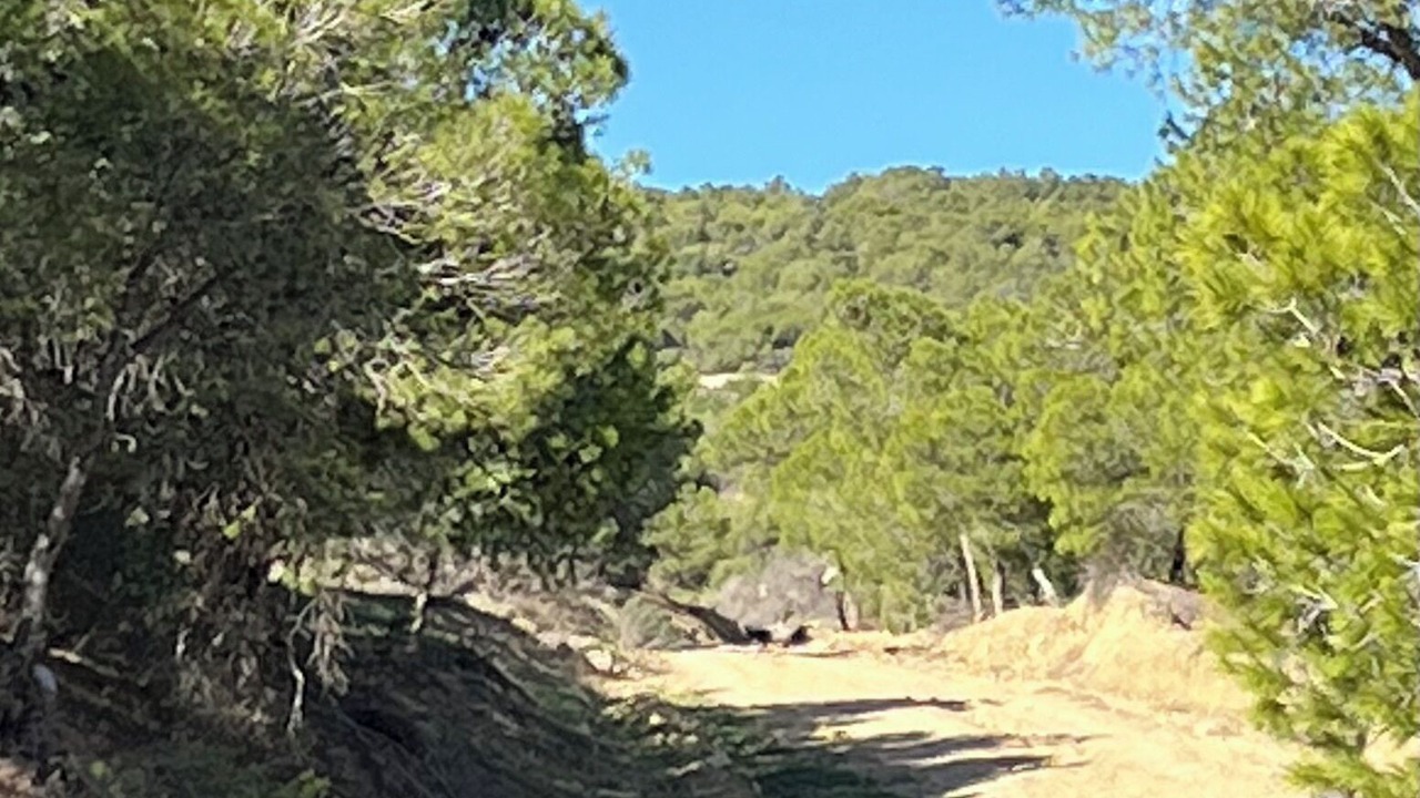 Photo of Others in Ennasr