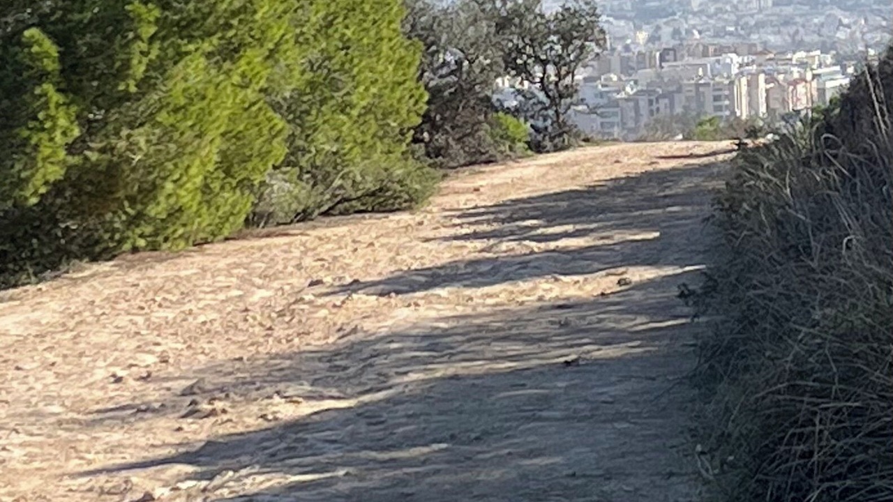 Photo of Others in Ennasr
