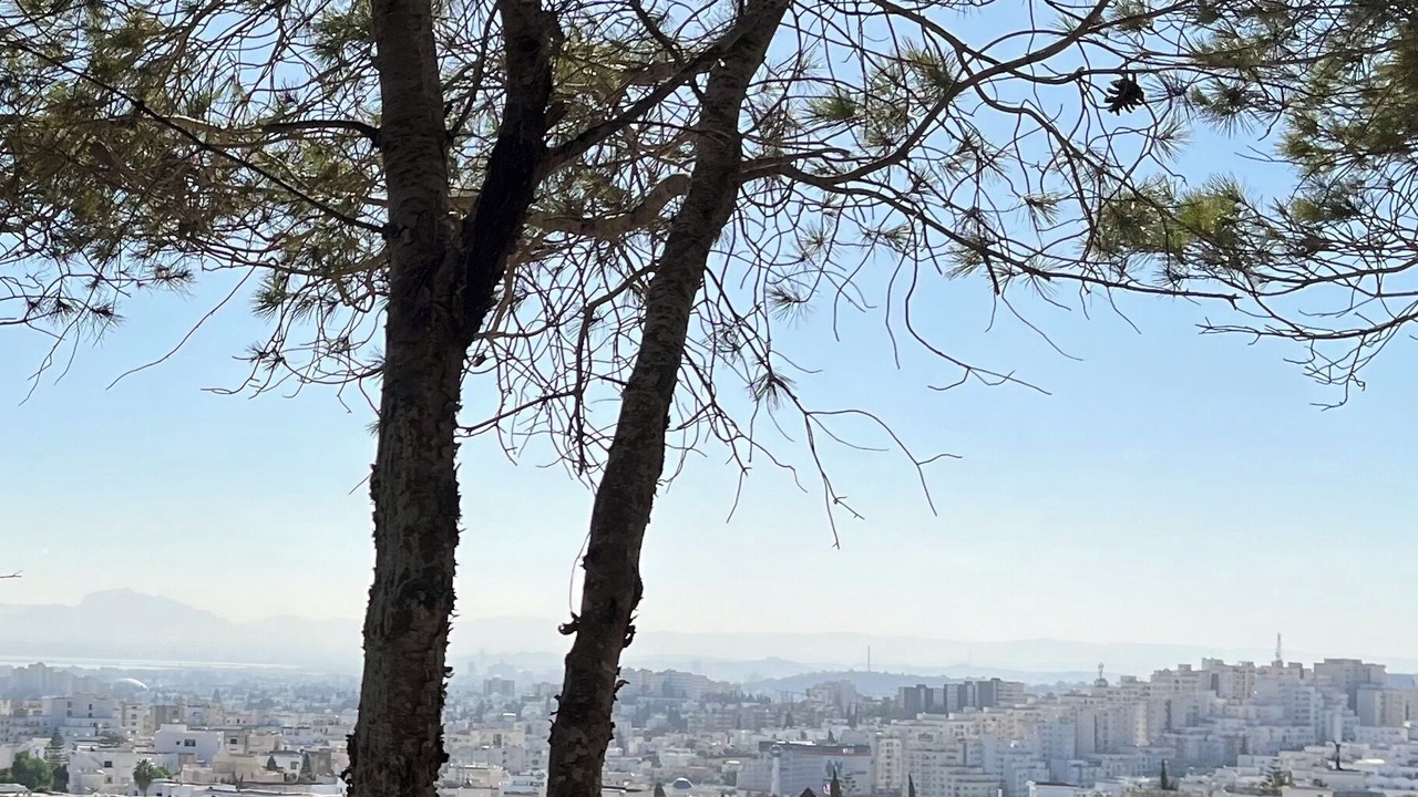 Photo of Others in Ennasr