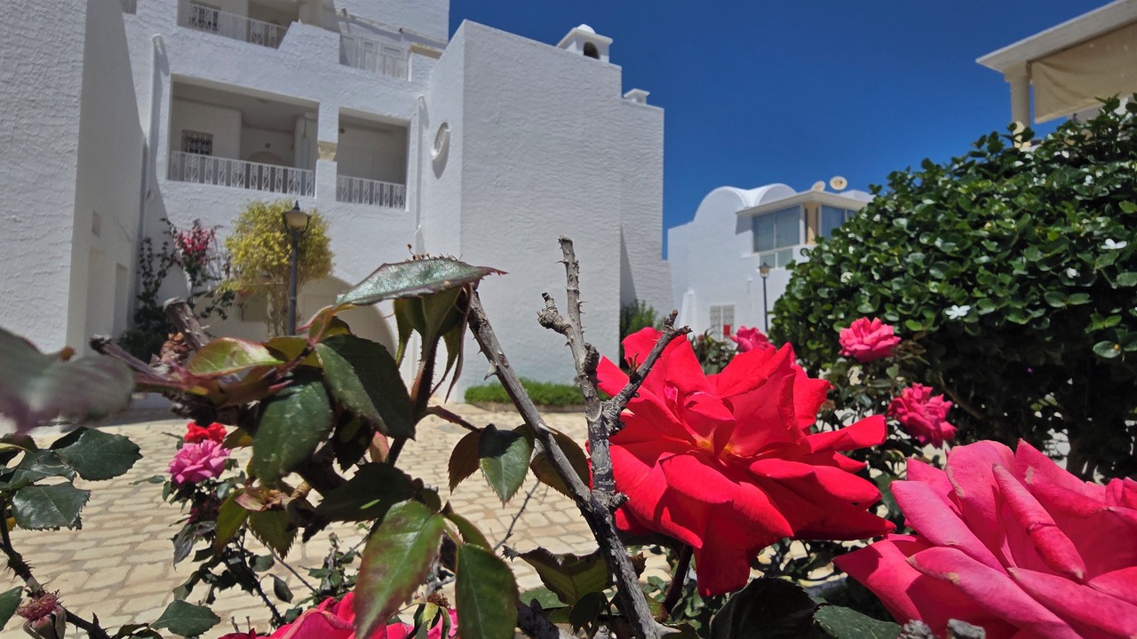 Photo of Outdoor in Hammamet