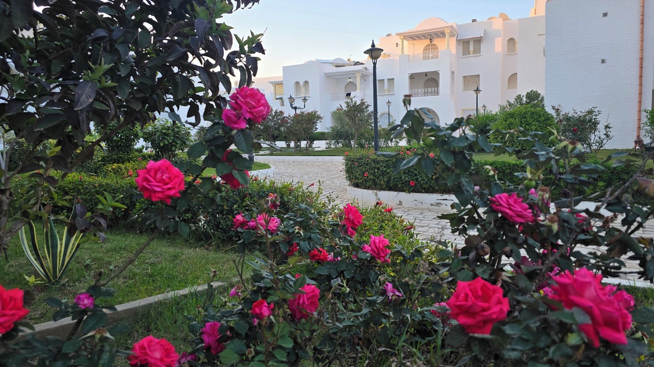 Photo of Outdoor in Hammamet