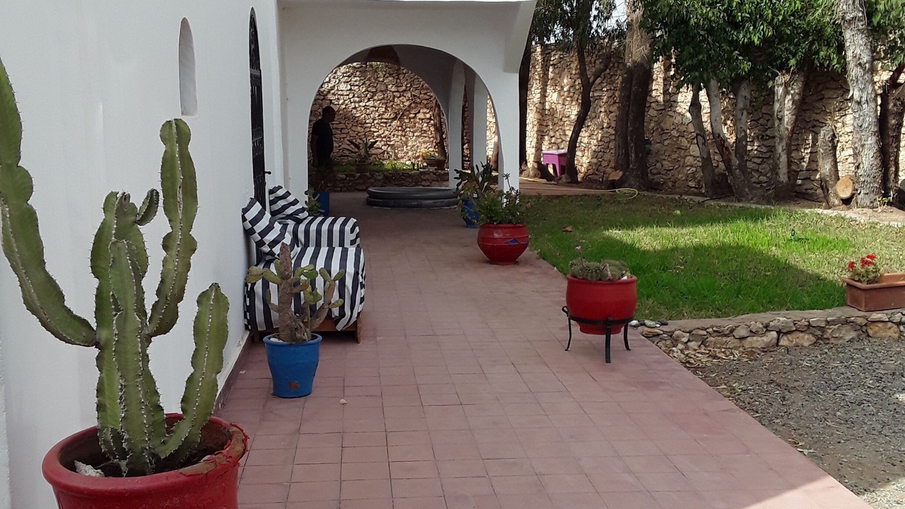 Photo of Outdoor in Essaouira