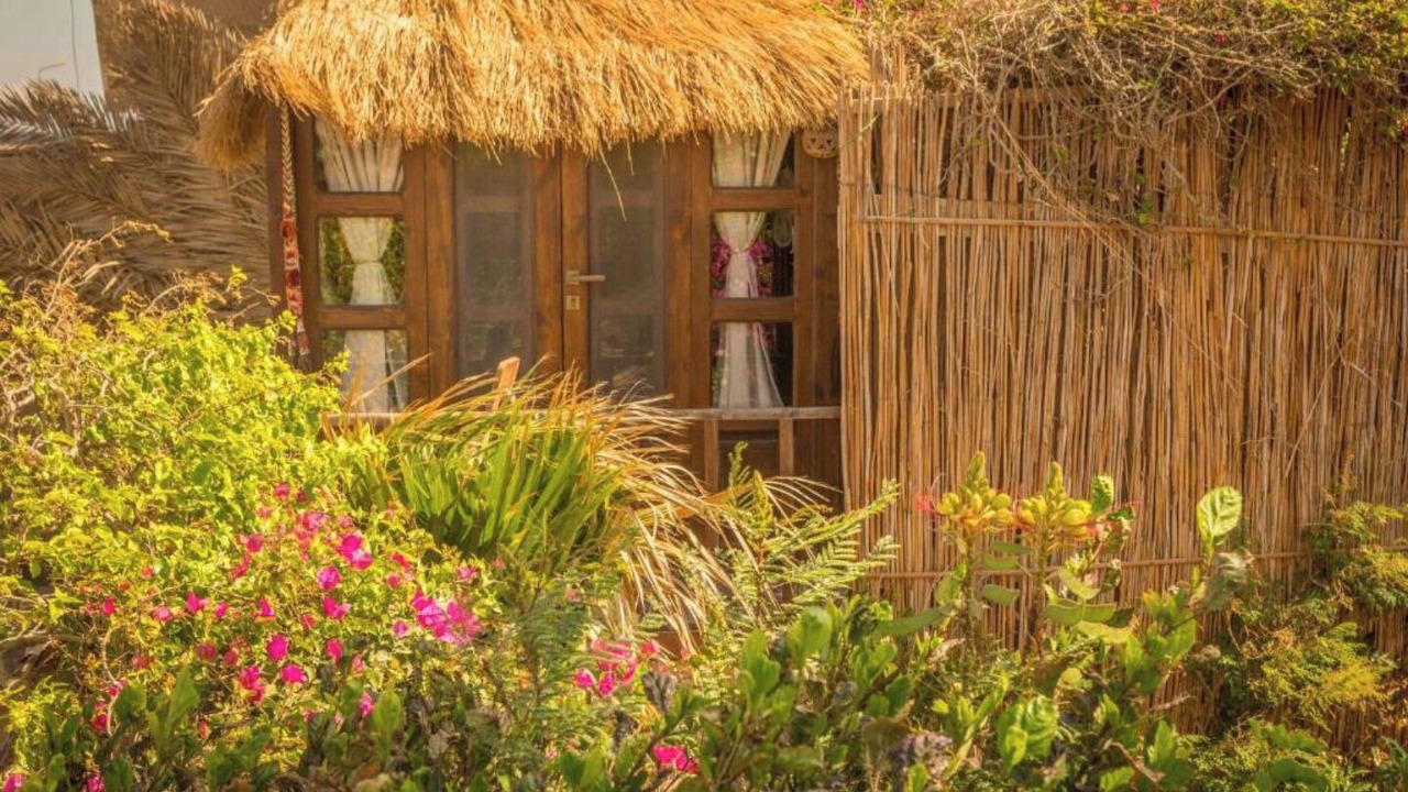 Photo of Outdoor in Dahab
