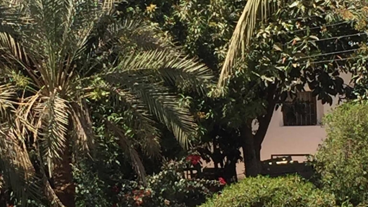 Photo of Outdoor in Luxor