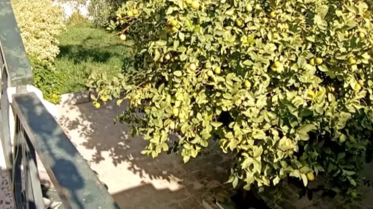Photo of Outdoor in Rades