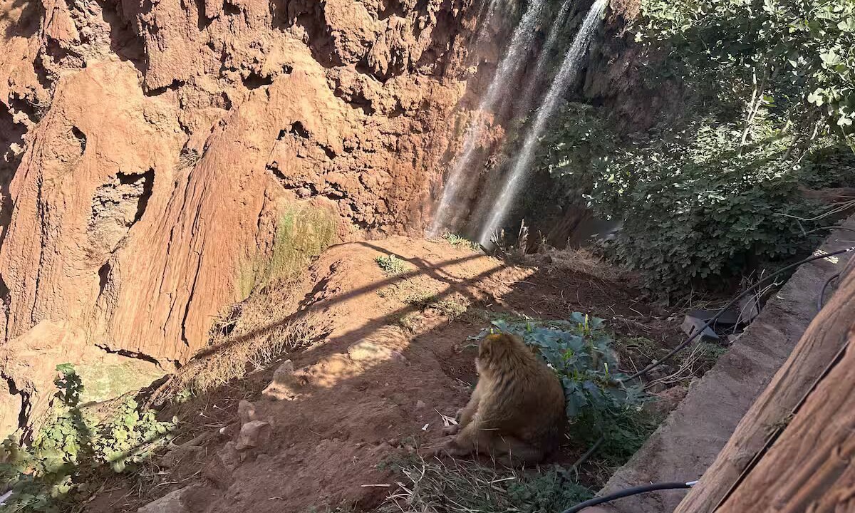 Photo of Others in Ouzoud