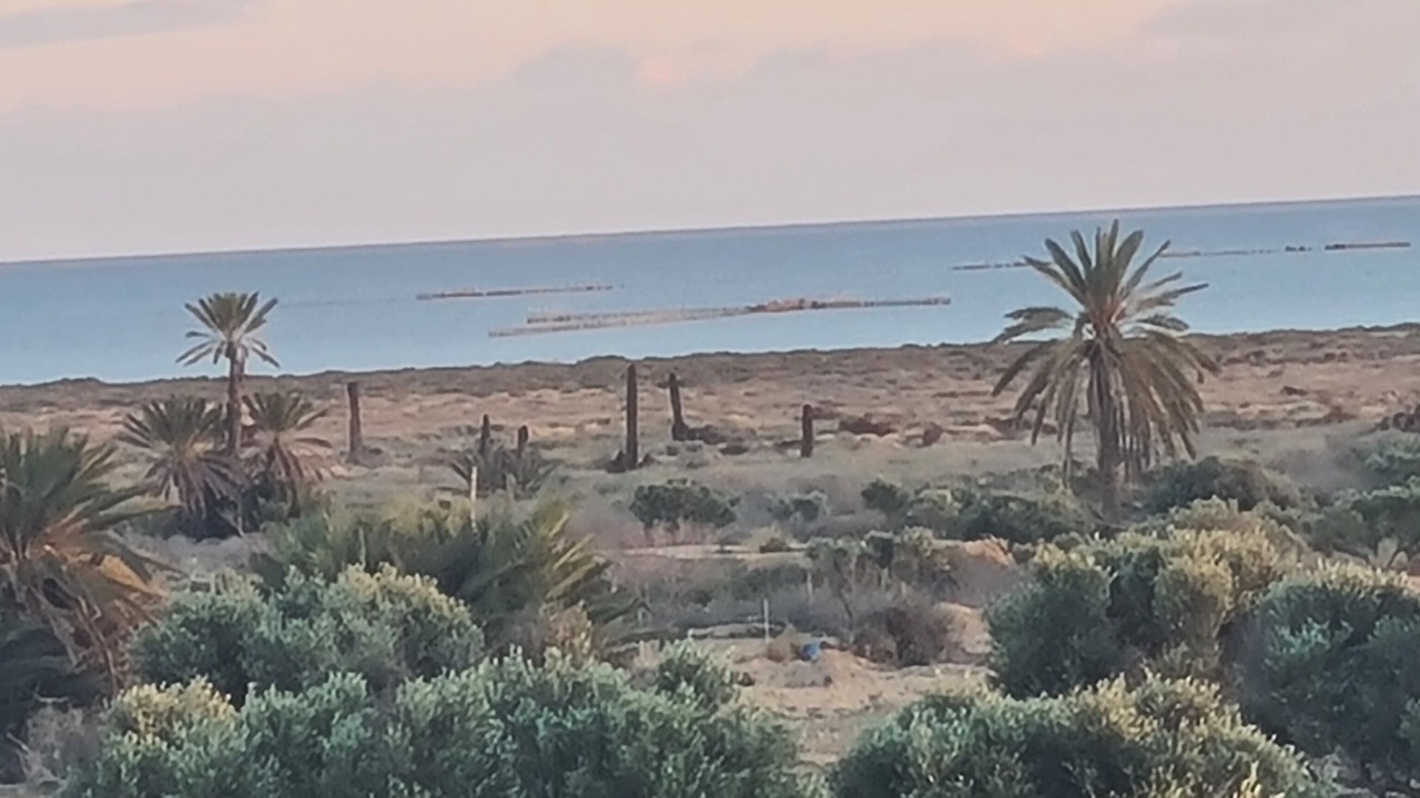 Photo of Others in Sidi Fredj