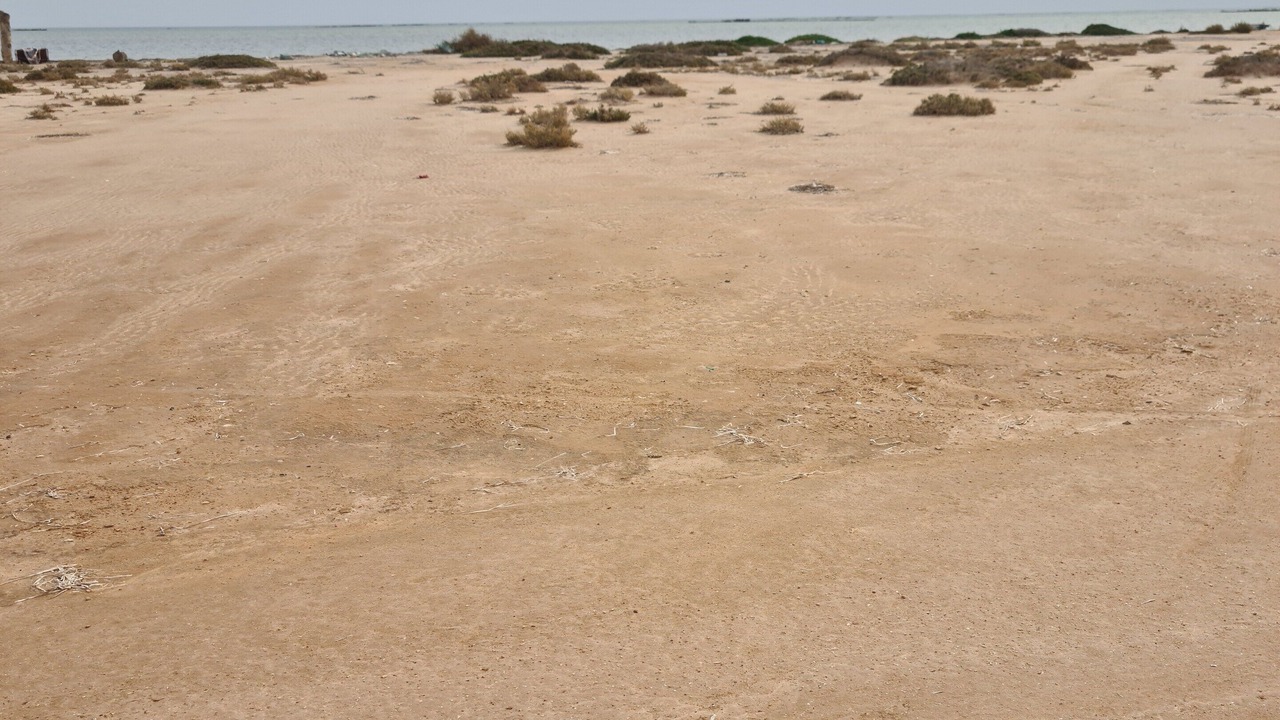 Photo of Others in Sidi Fredj