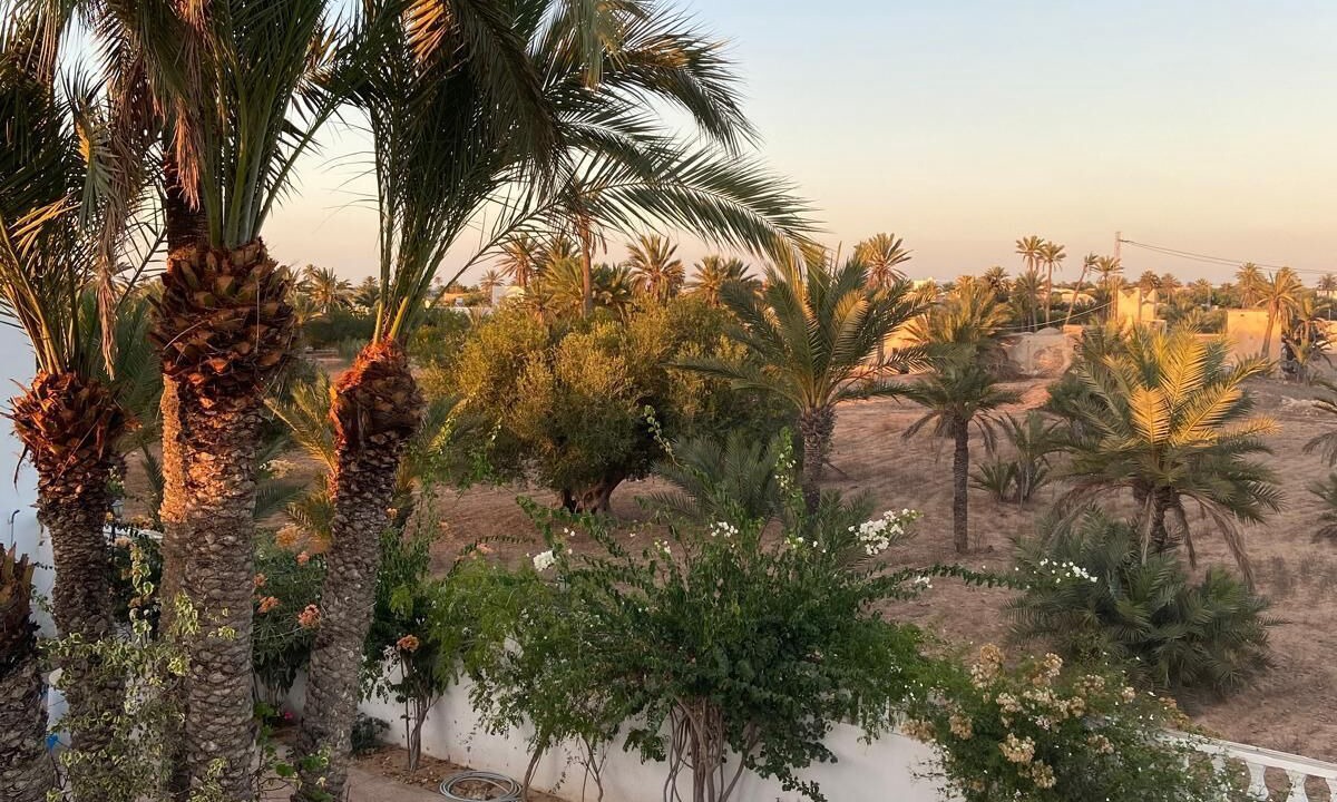 Photo of Outdoor in Guellala