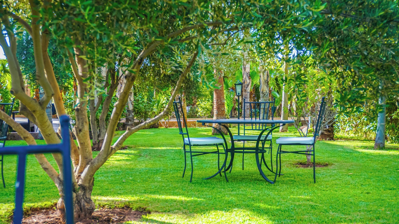 Photo of Outdoor in Palmeraie