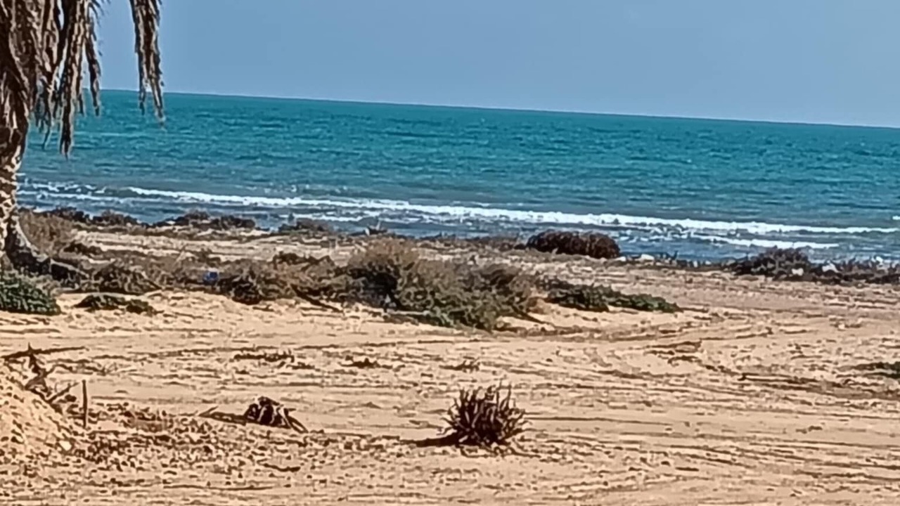 Photo of Others in Aghir