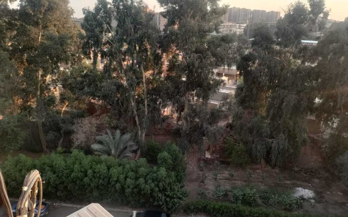 Photo of Others in Al-Waili