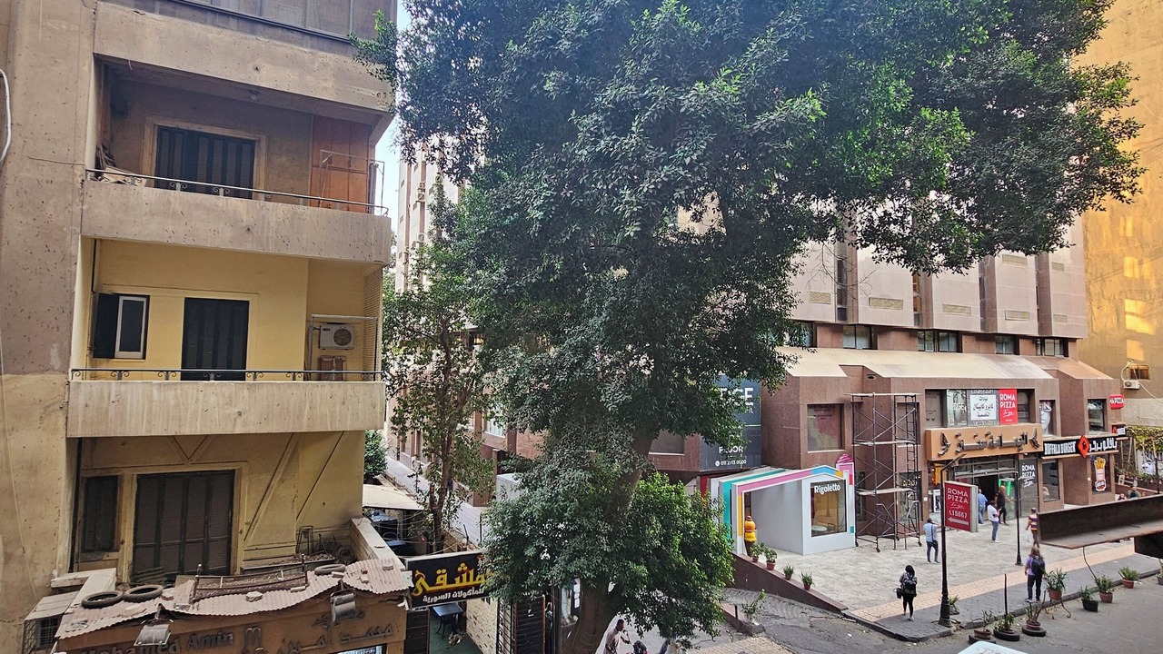Photo of Others in Gezira