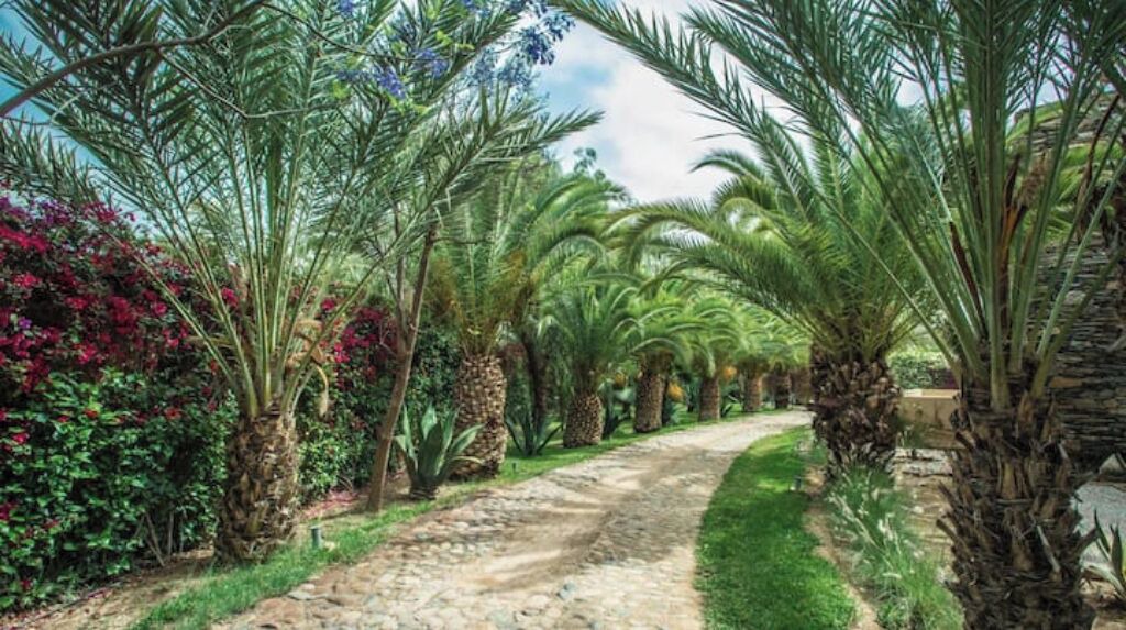 Photo of Outdoor in Assouel