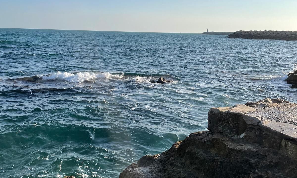 Photo of Others in El Maamoura