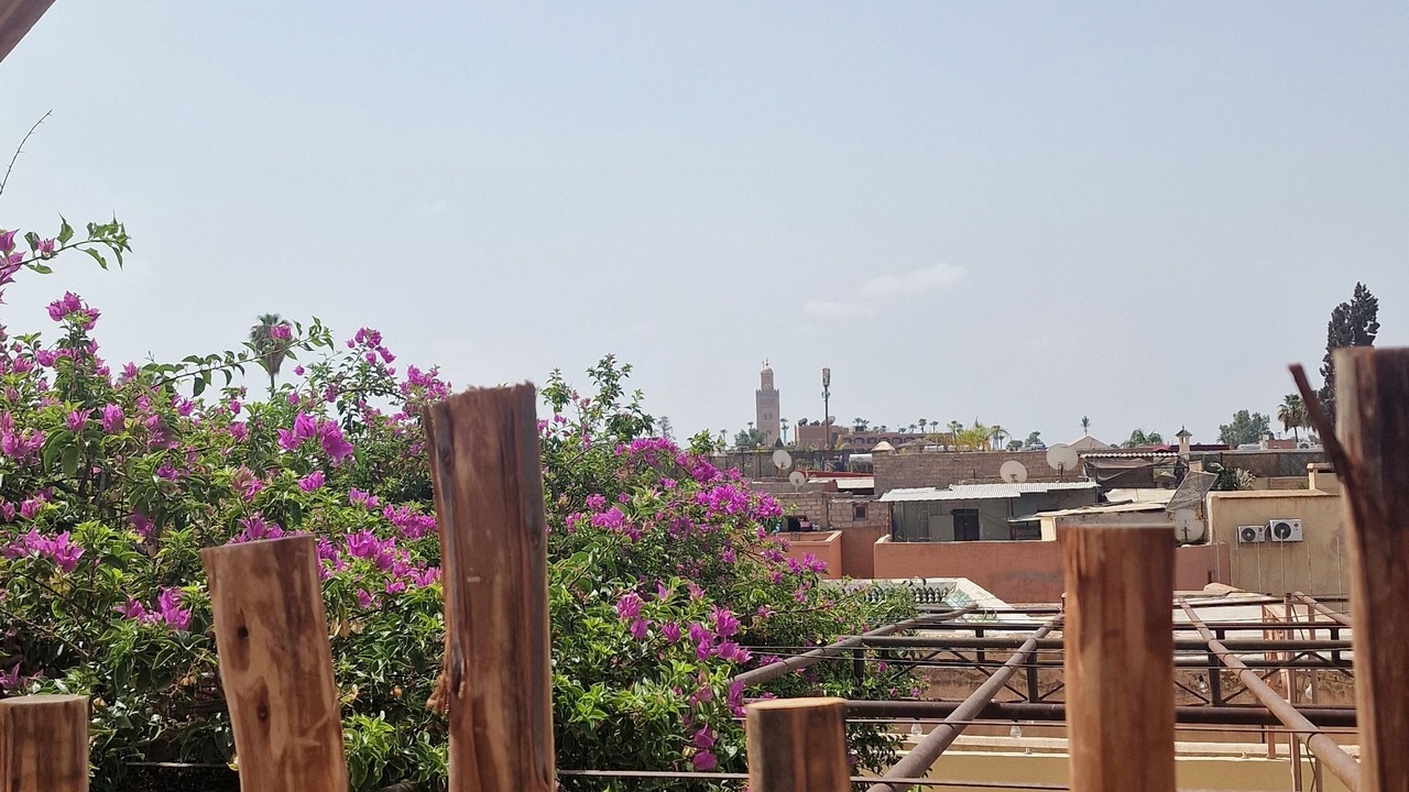 Photo of Outdoor in Sidi Bou Amar