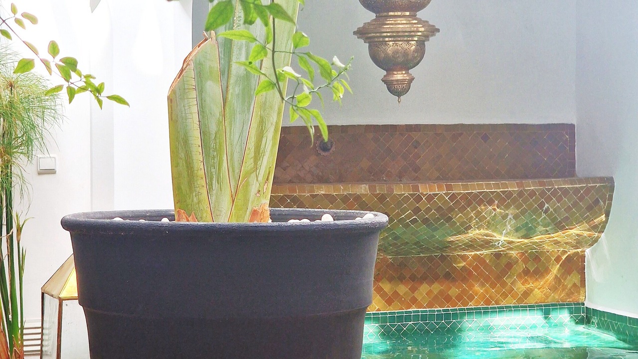 Photo of Outdoor in Sidi Bou Amar