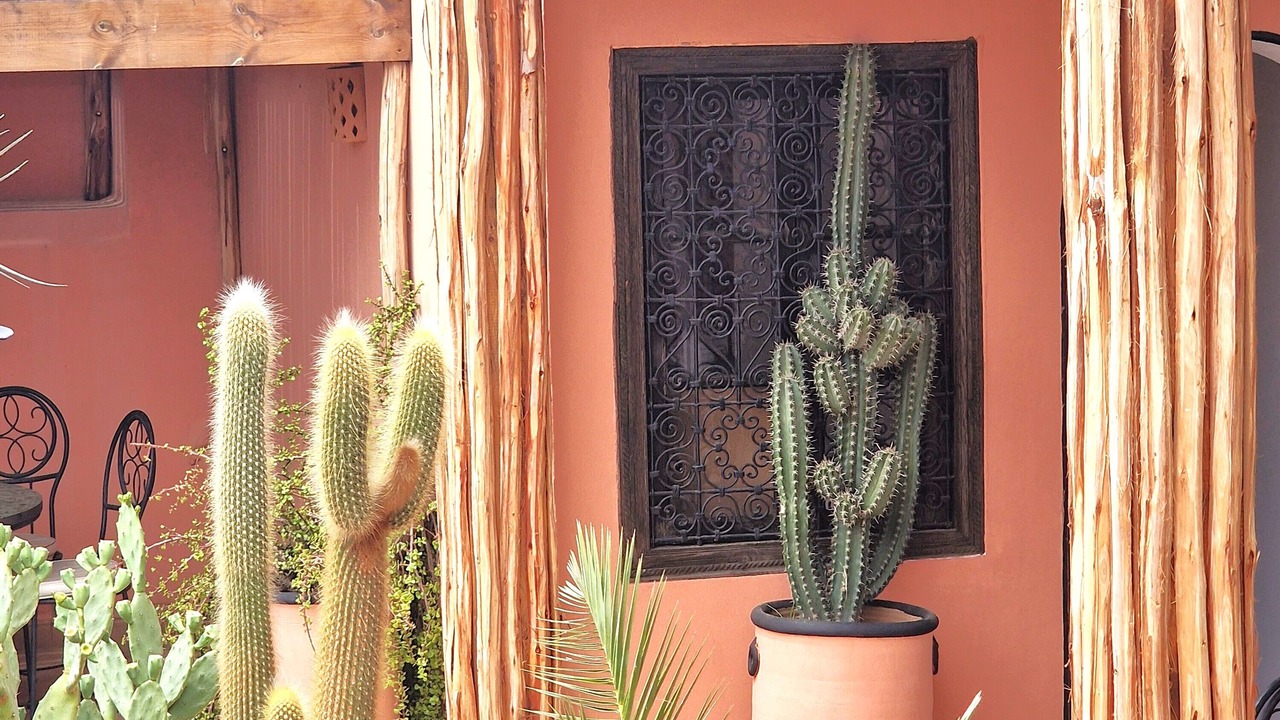 Photo of Outdoor in Sidi Bou Amar