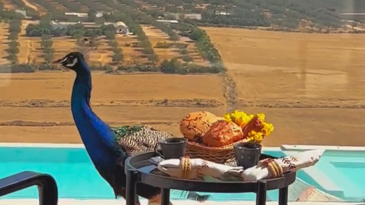 Photo of Outdoor in Hammam Bent Djedidi