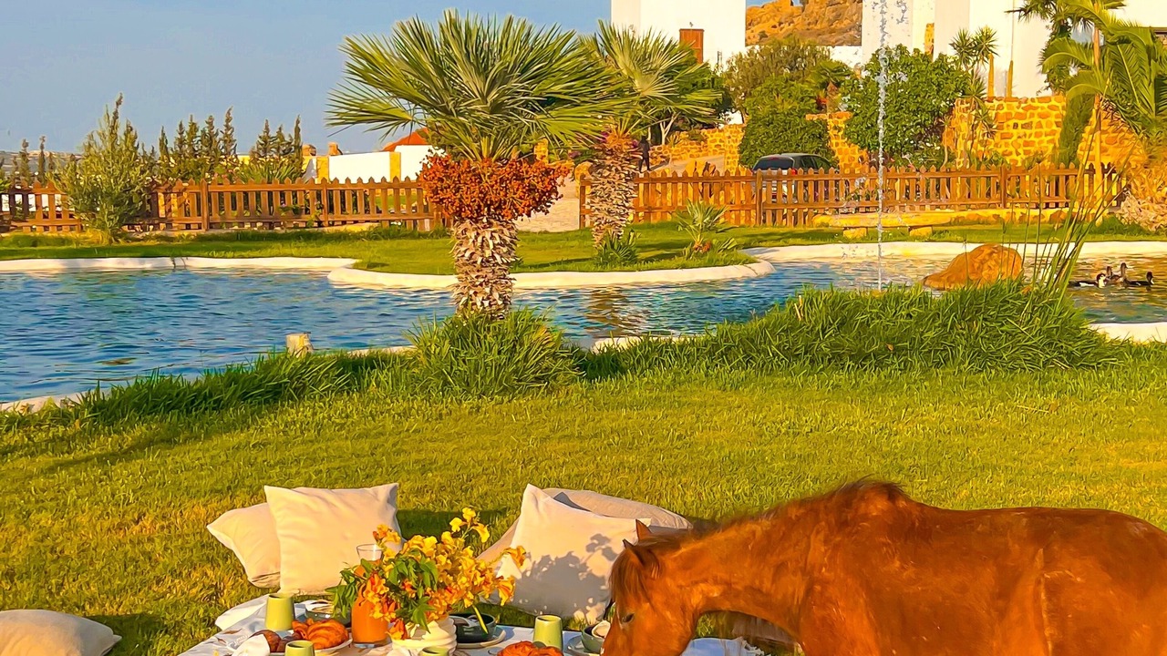 Photo of Outdoor in Hammam Bent Djedidi