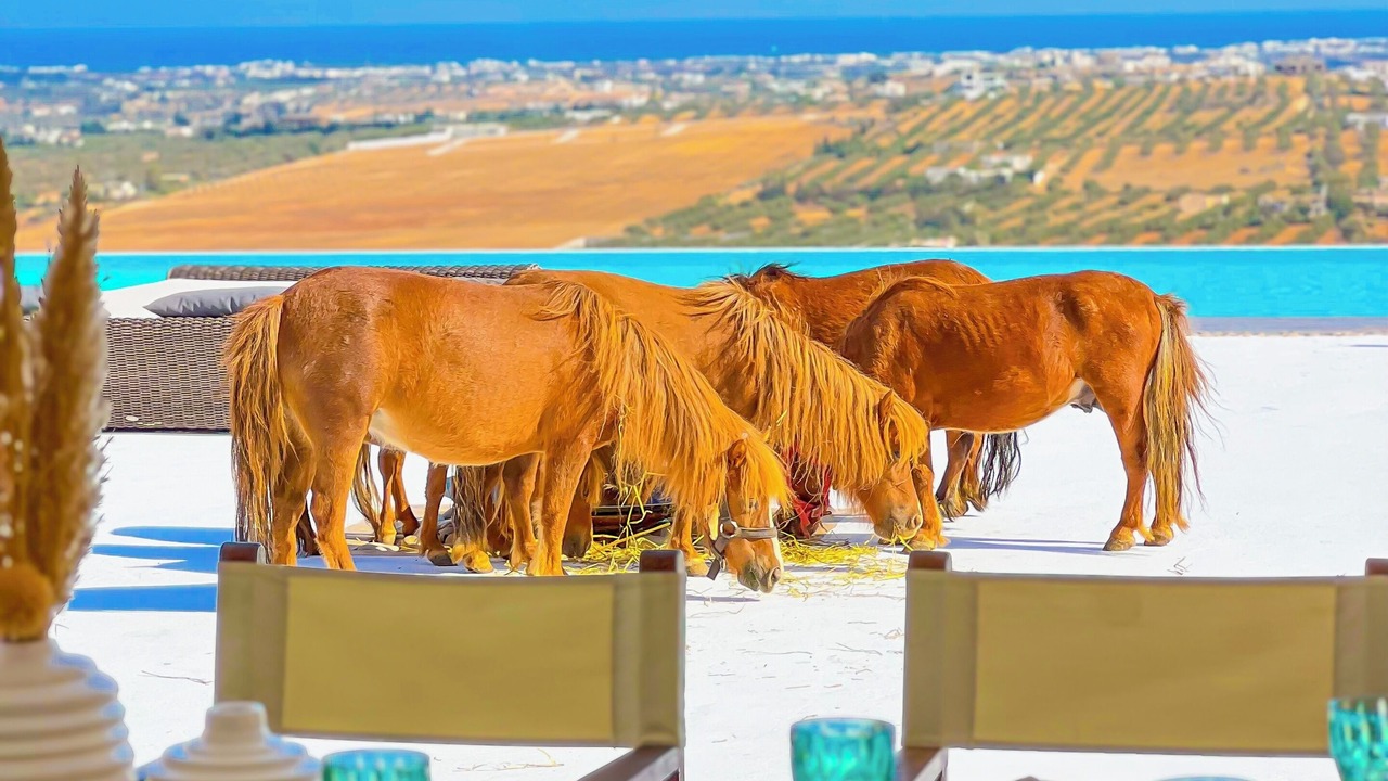 Photo of Outdoor in Hammam Bent Djedidi