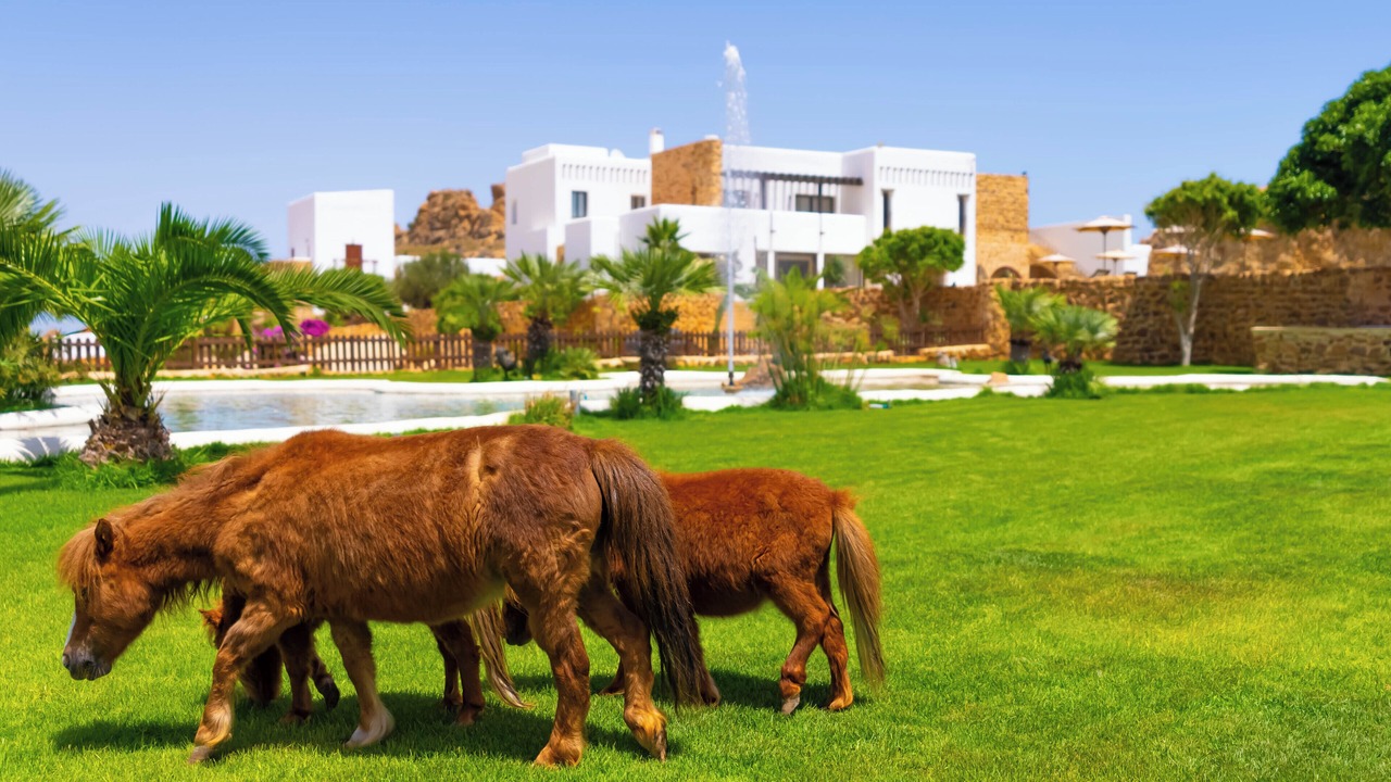 Photo of Outdoor in Hammam Bent Djedidi