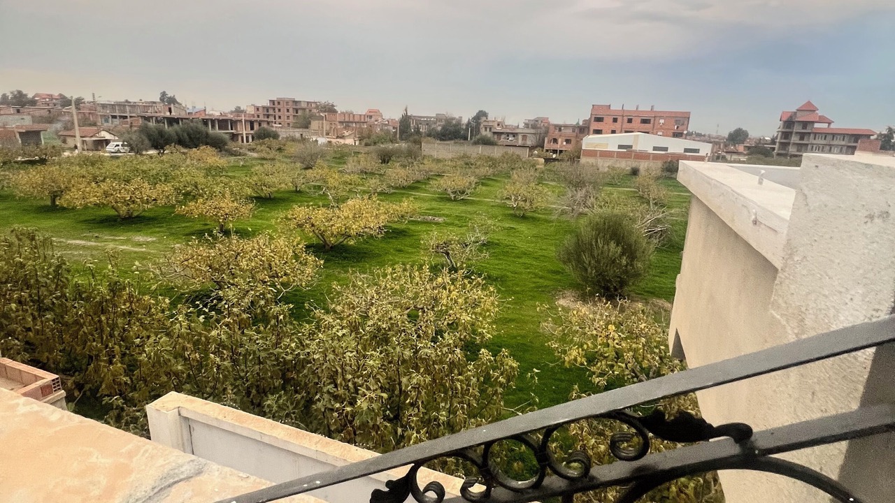 Photo of Outdoor in Blida Province