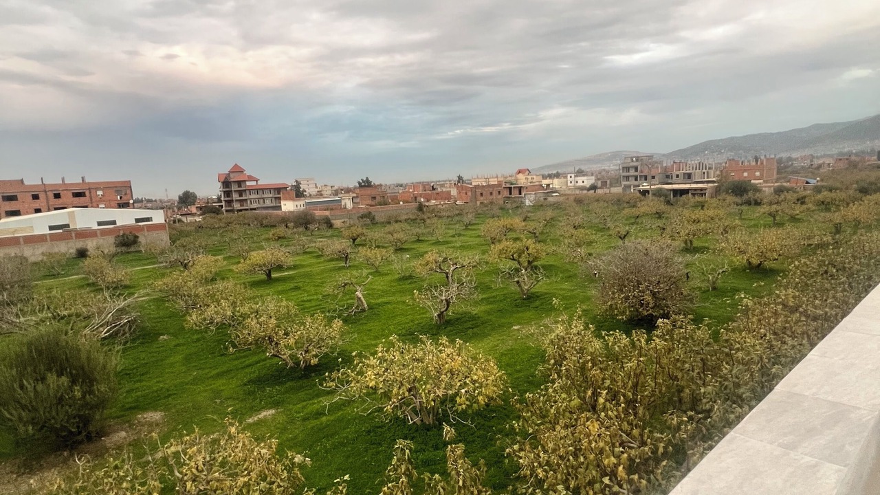 Photo of Outdoor in Blida Province