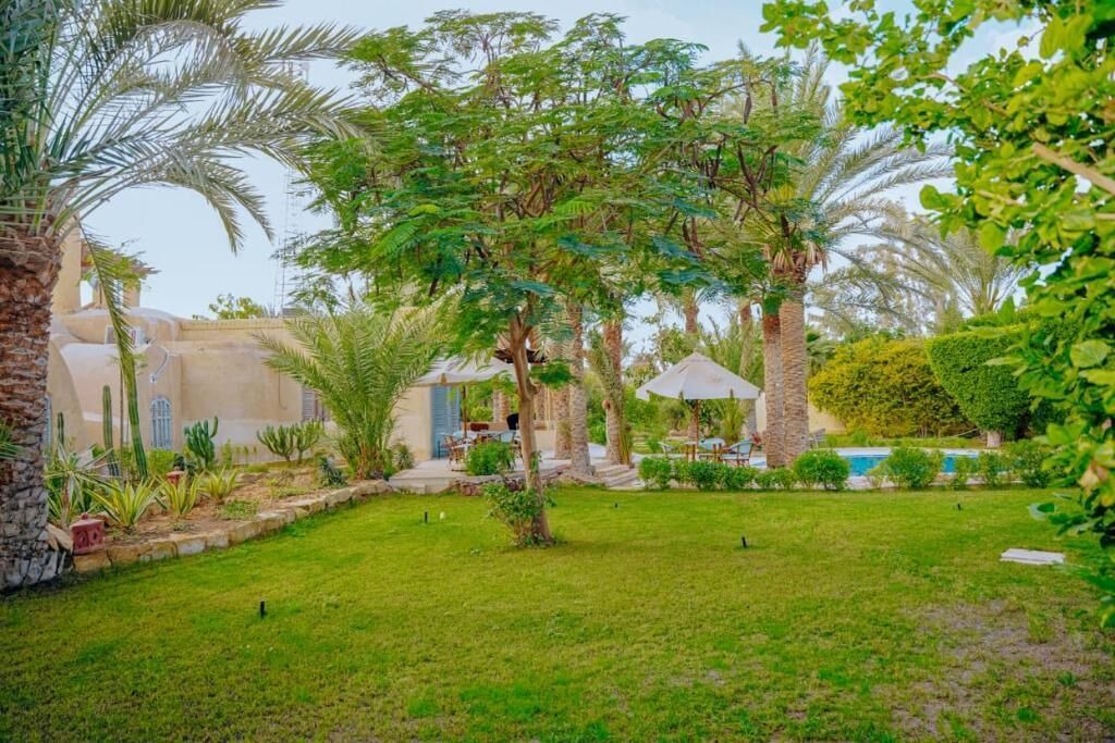 Photo of Outdoor in Tunis Village