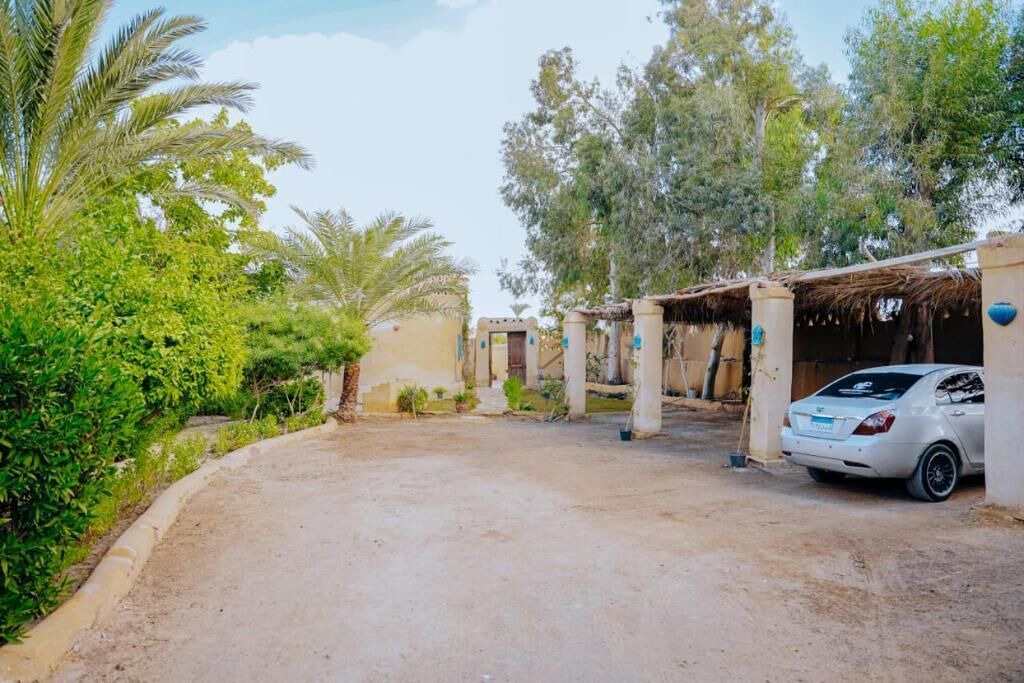 Photo of Outdoor in Tunis Village