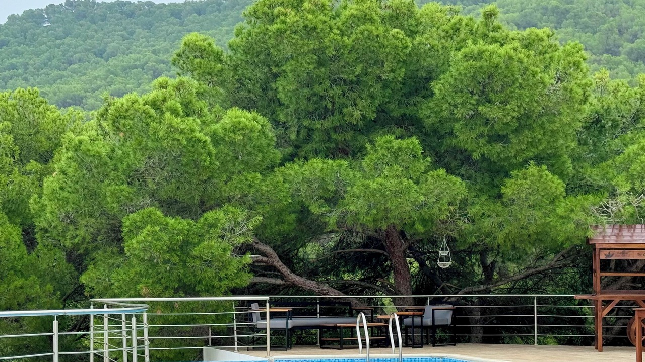Photo of Outdoor in Fahs