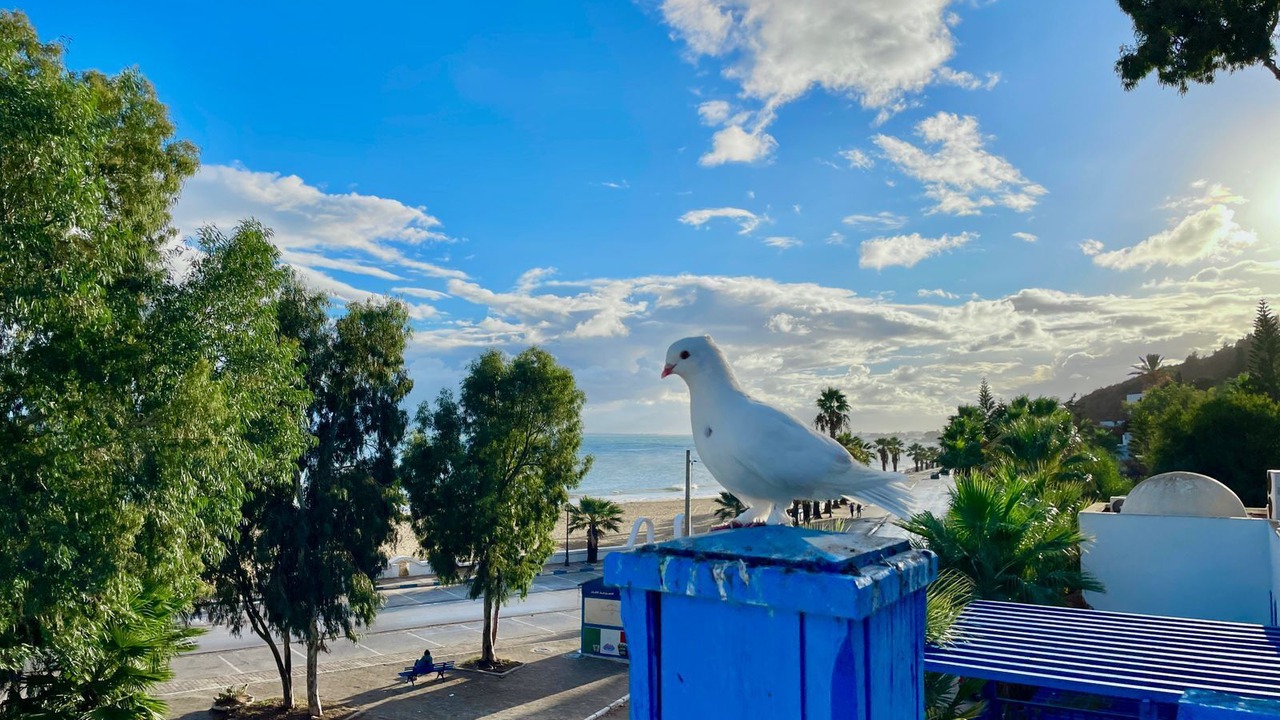 Photo of Outdoor in Sidi Bou Said