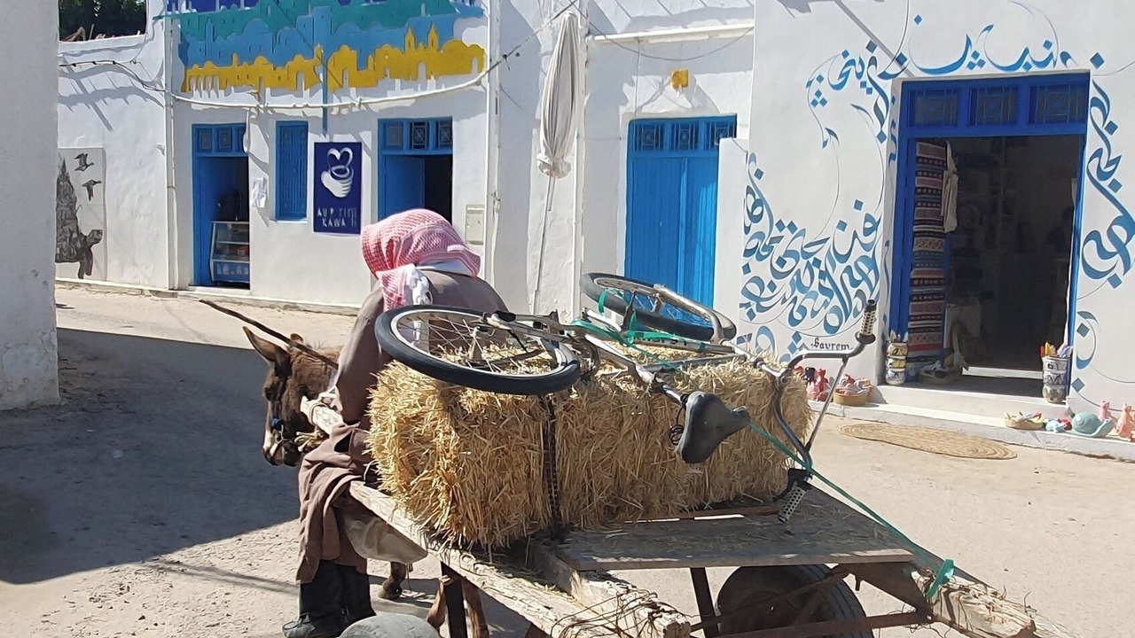 Photo of Others in Erriadh