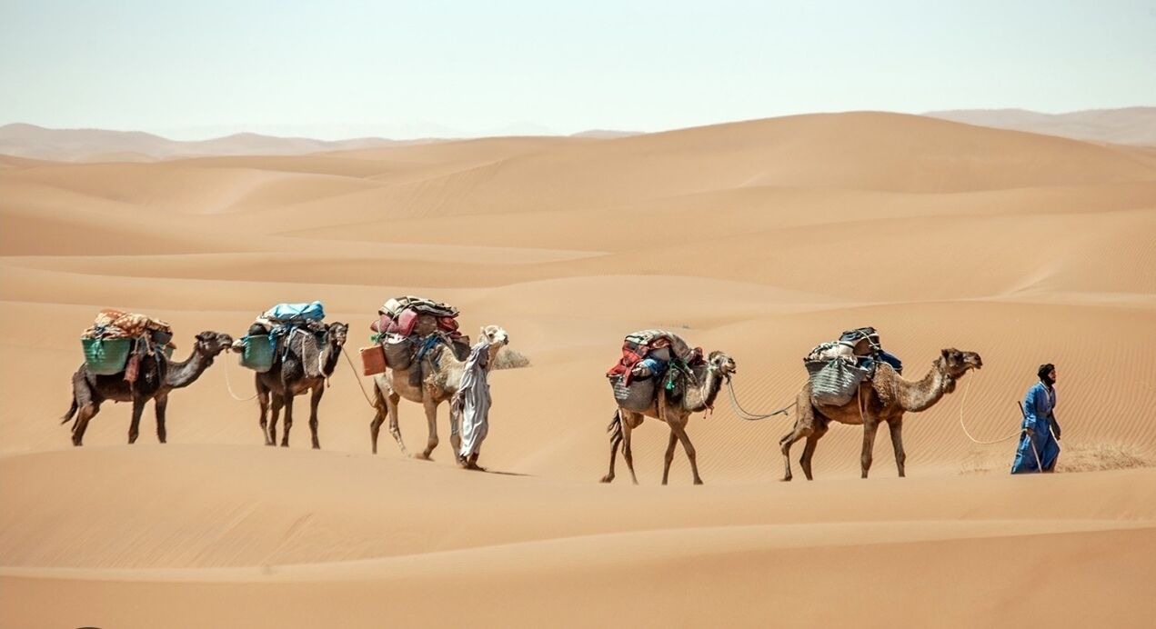 Photo of Others in Medina