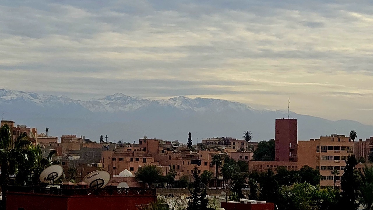 Photo of Others in Marrakech