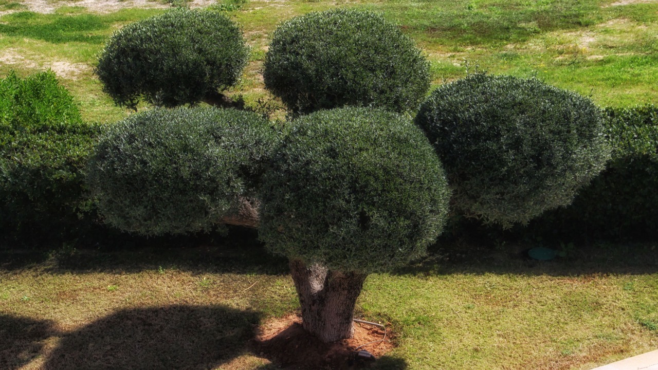 Photo of Outdoor in La Marsa