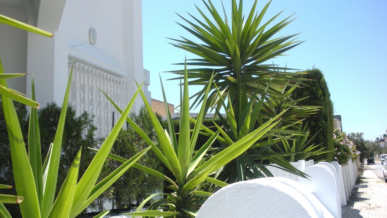 Photo of Outdoor in Nabeul