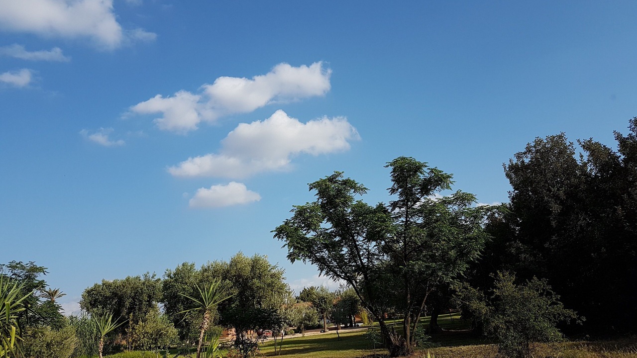 Photo of Outdoor in Menara