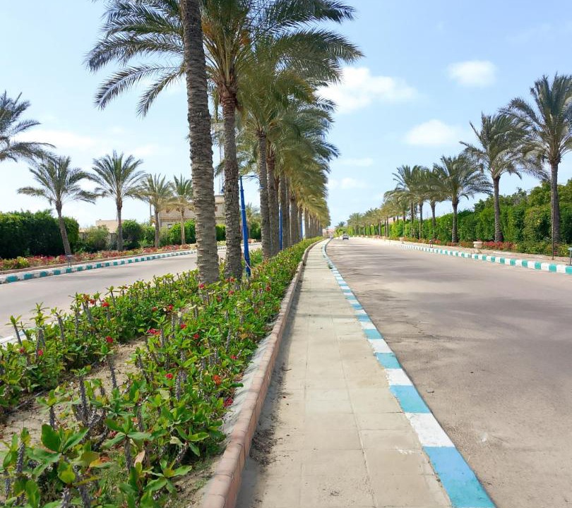 Photo of Others in Borg el Arab