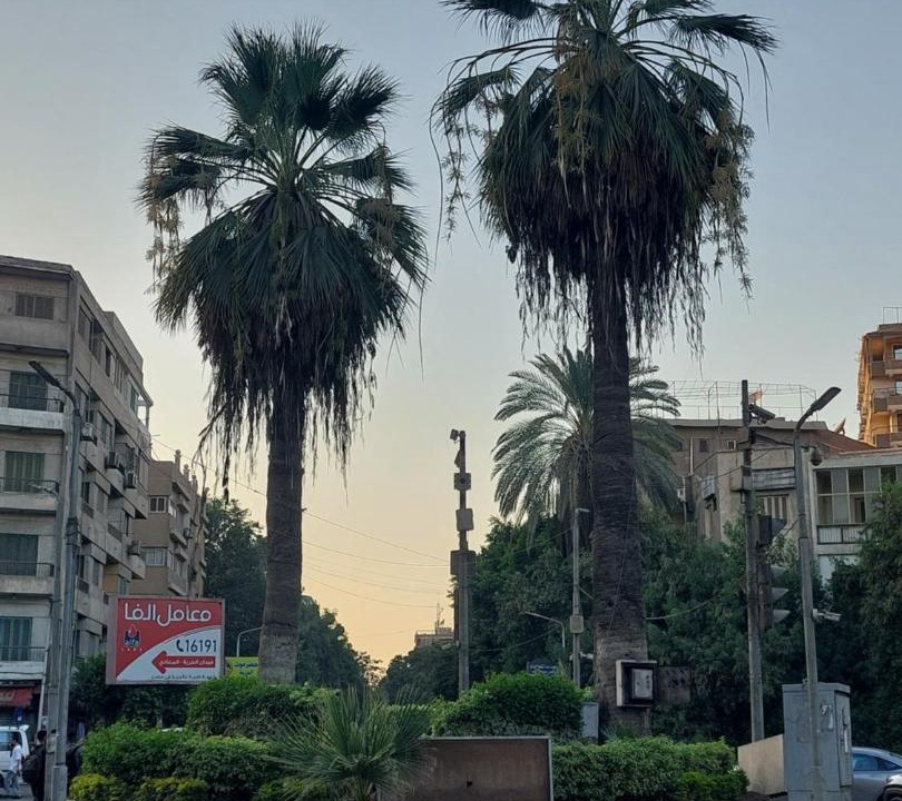 Photo of Others in Maadi