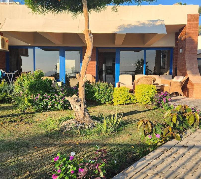 Photo of Others in Sharm El Sheikh