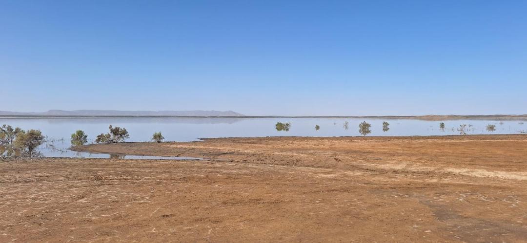 Photo of Others in Hassilabied
