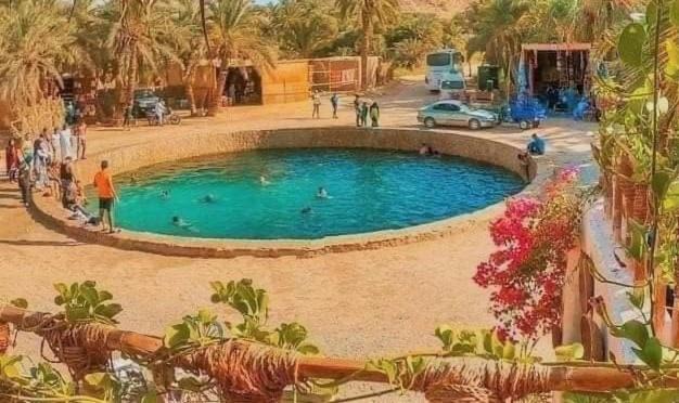 Photo of Others in Siwa