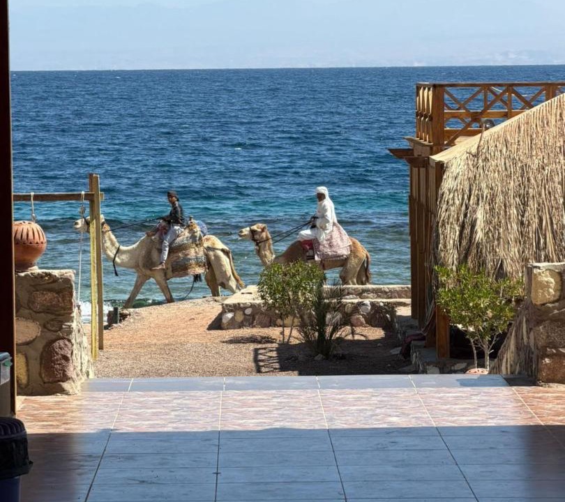 Photo of Others in Nuweiba