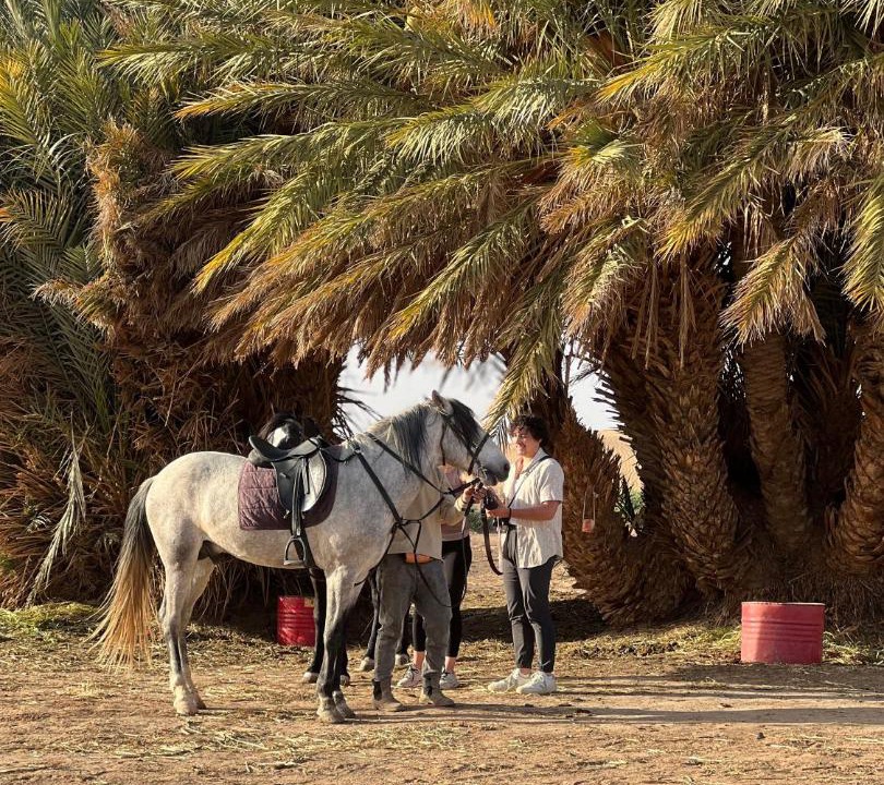 Photo of Others in Hassilabied