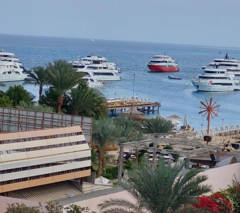 Photo of Others in Al Mamsha El Seyahi