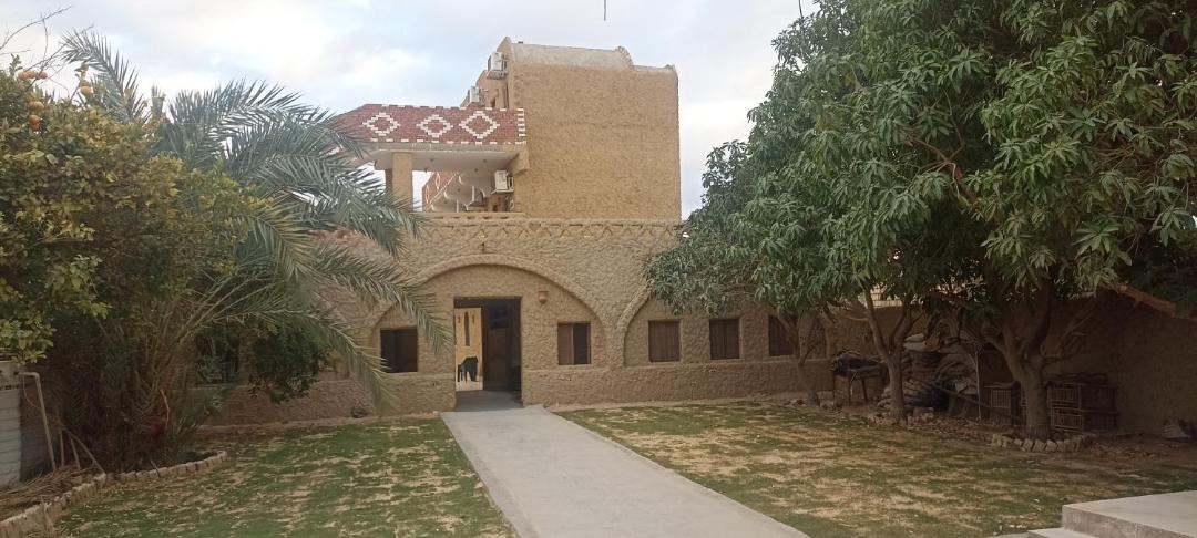 Photo of Others in Al Bawiti