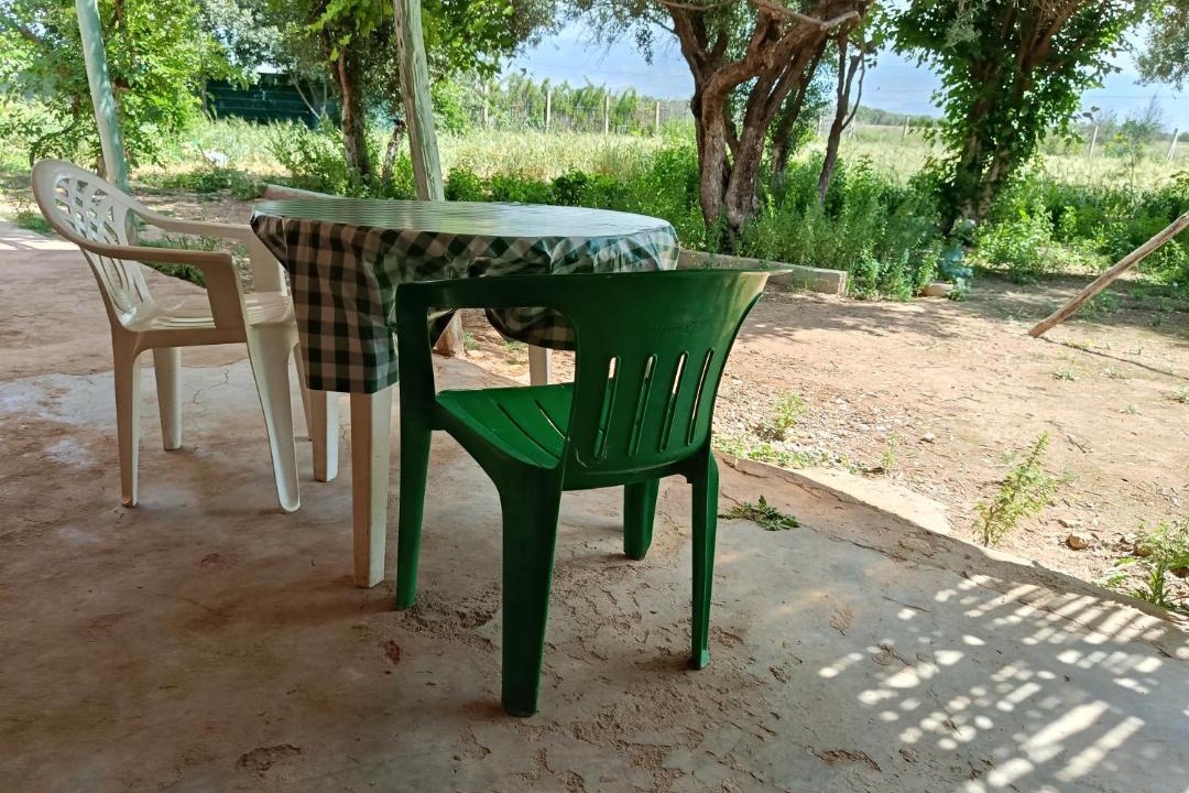 Photo of Others in Oulad Yaich