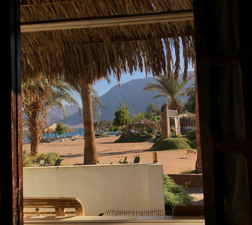 Photo of Others in Nuweiba