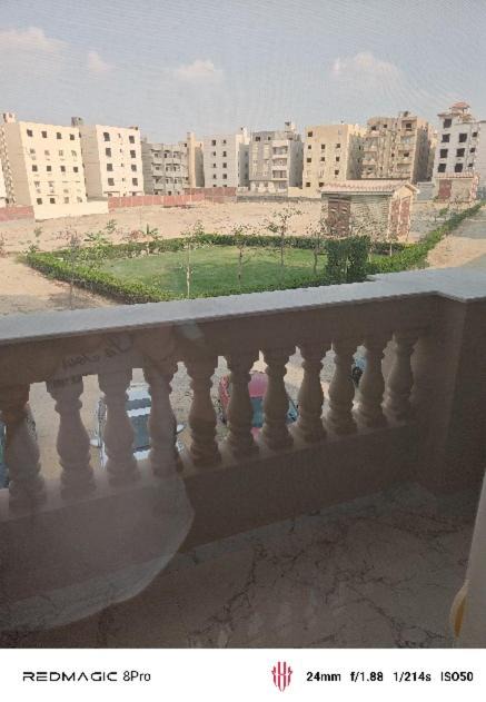 Photo of Others in Mansoura